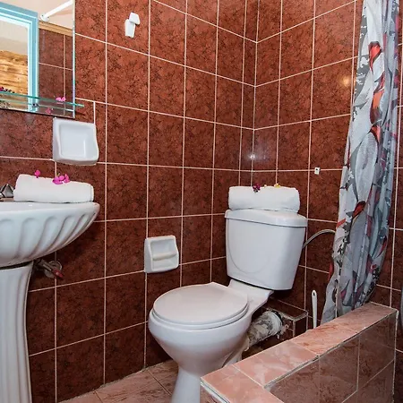 Apartman Lofos